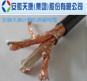 安徽天康ZR-DJYJP2VP2-2*2*1.5銅帶屏蔽計算機電纜